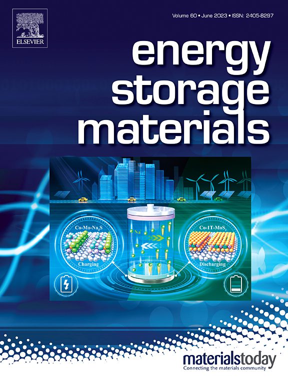 Nitrogen And Atomic Fe Co-doped Hollow Carbon Nanocages Supporting RuPd ...